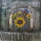 Felix Albus  "Decorative 2" 
