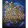 Felix Albus "Ciclotimie" 2017 120cm x 100cm, Acrylic on canvas