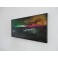 Felix Albus  "Escaping the day"  60cm X 30cm, Acrylic on canvas, 2019